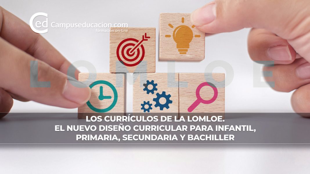 Los Curr Culos Lomloe De Cada Etapa Educativa Por Comunidades Aut Nomas